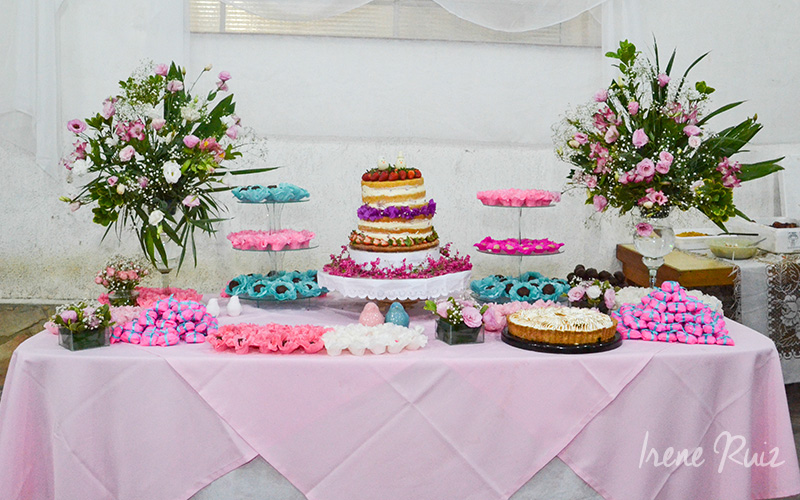 Casamento_sara_gustavo_02