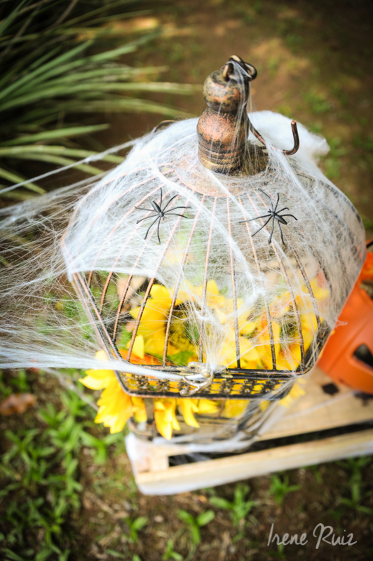 Halloween_Caio-6
